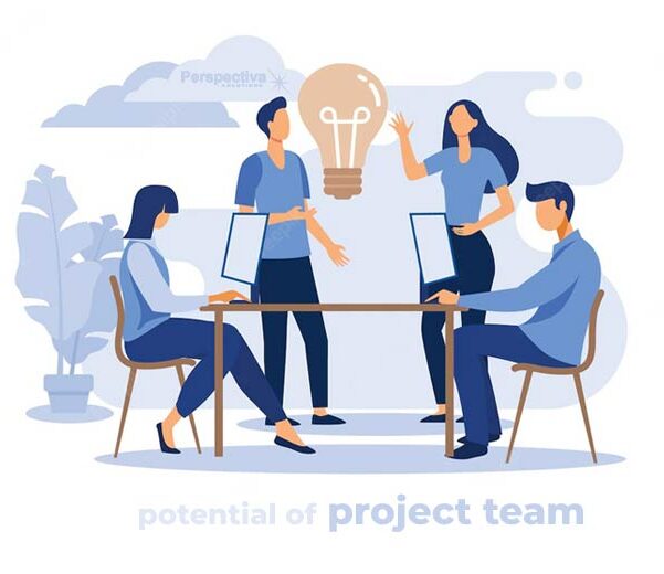 Importance of a project team
