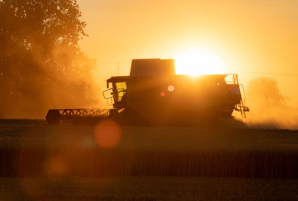 Industry wiring harness for agriculture - Produkcja wiązek kablowych dla rolnictwa