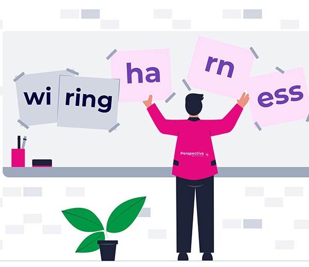 Wiring harness contract production - wiązki elektryczne