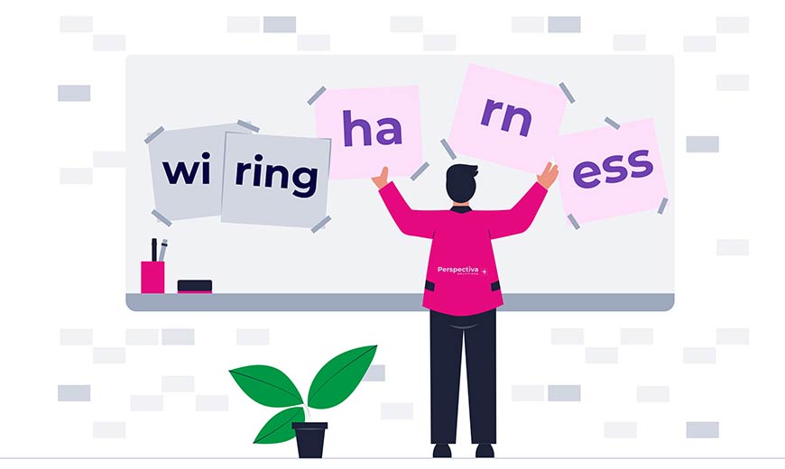 Wiring harness contract production - wiązki elektryczne